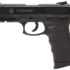 Taurus PT809